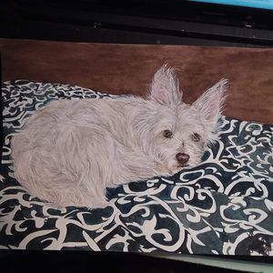 Meet your Posher, Vicki